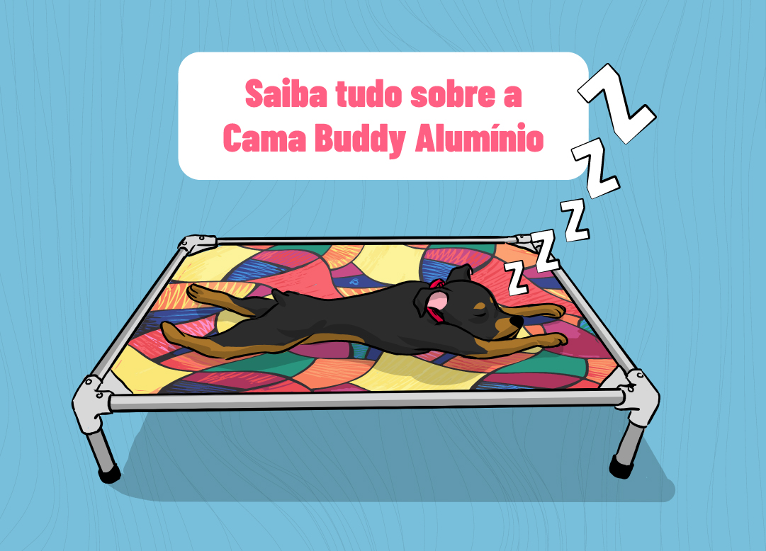 Saiba tudo sobre a Cama Buddy Alumínio